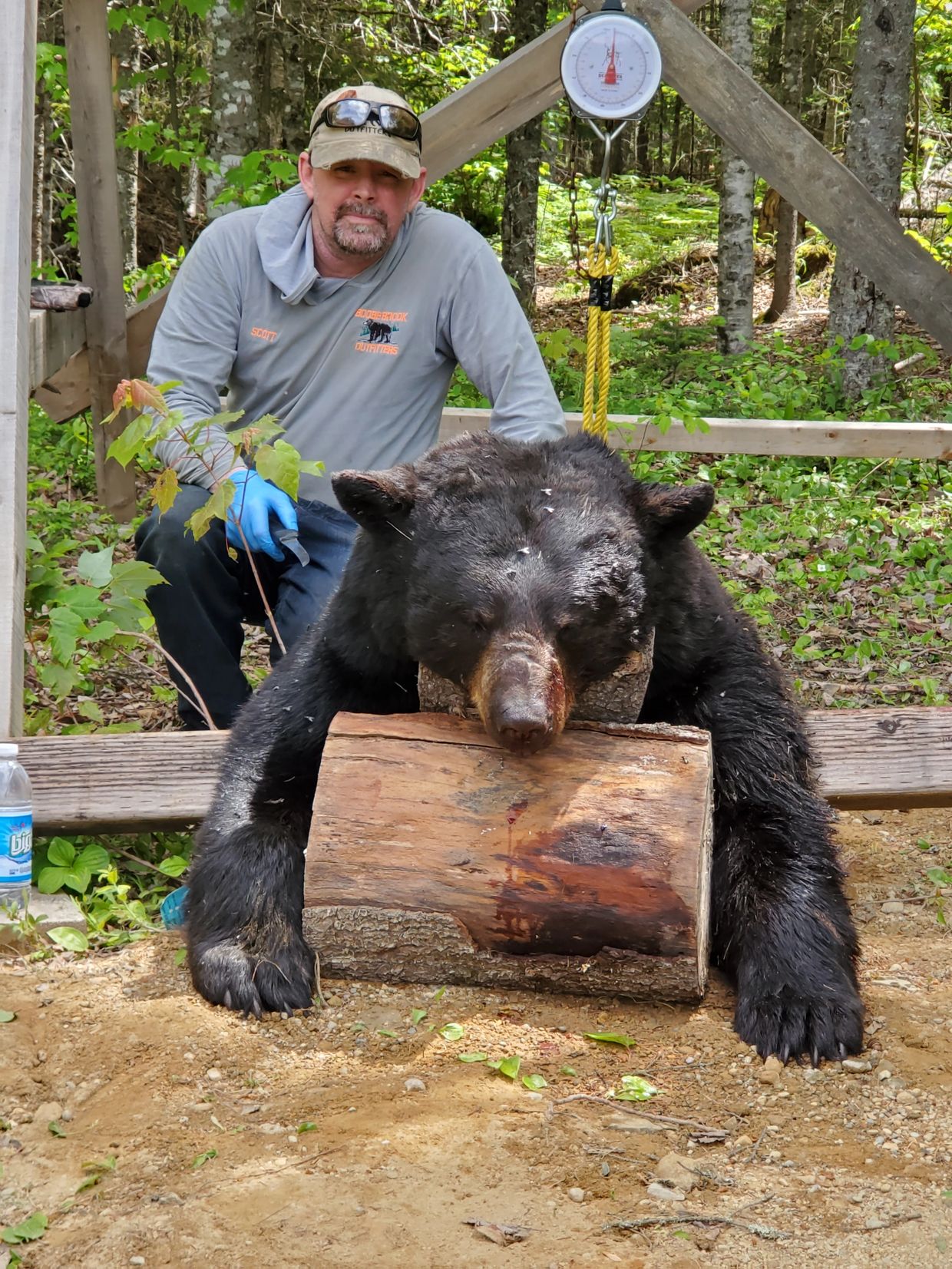 Hunter posing with a large black bear in the woods.