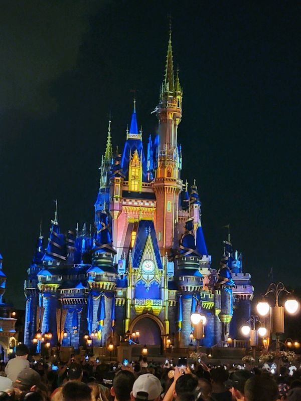 Illuminated Disney castle at night with a crowd taking photos.