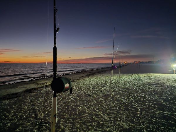 Picture in the beach
