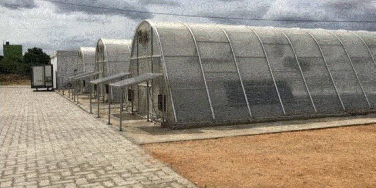 Solar Dehydration by Food Processing Consultant Leelaram Enterprises