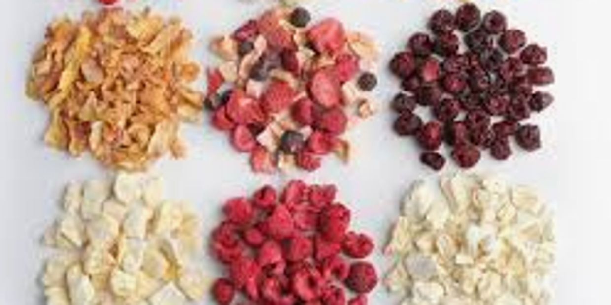 Freeze Dried Consultants Leelaram Enterprises, best freeze-drying consultants in India.