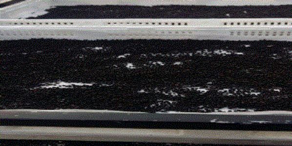 Solar Dehydration by Food Consultant Leelaram Enterprises