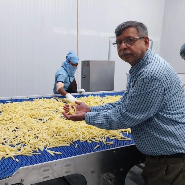 French Fries Consultants, french fries line,french fries machines, french fries factory,#frenchfries