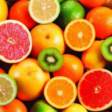 Fruits Processing Consultants in India