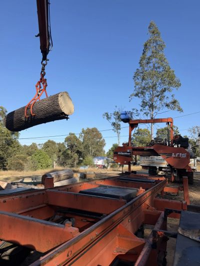 A log being lifted by a crane near a sawmill.