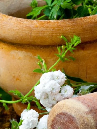 Herbal medicine for anxiety, stress & nervous system support.