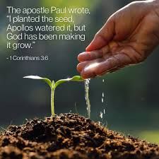 Plant and Water the Seed! God makes it grow!