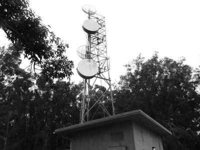 image3