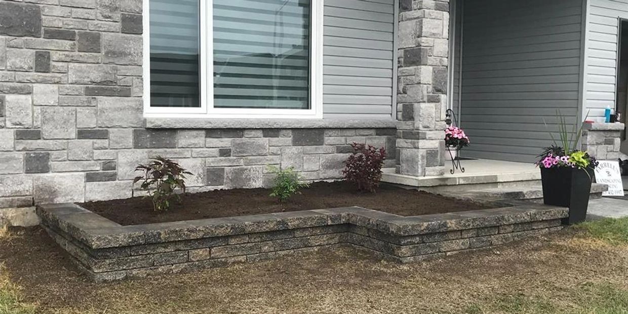 Home About Us Services