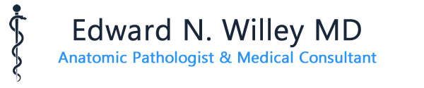 Edward N. Willey MD