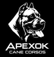 ApexOK Cane Corsos LLC