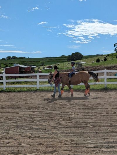 A child rides a horse led by an adult in a sunny paddock.