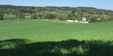 View of organic crops on Gary Zimmer's farm
