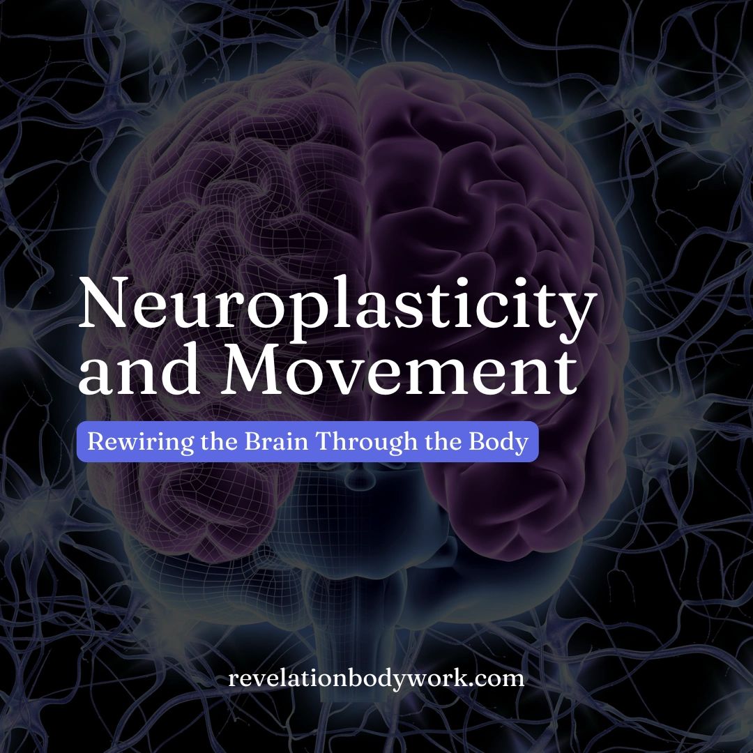 Neuroplasticity and Movement: Rewiring the Brain Through the Body
