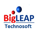 BigLeap Technosoft