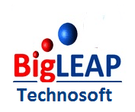 BigLeap Technosoft