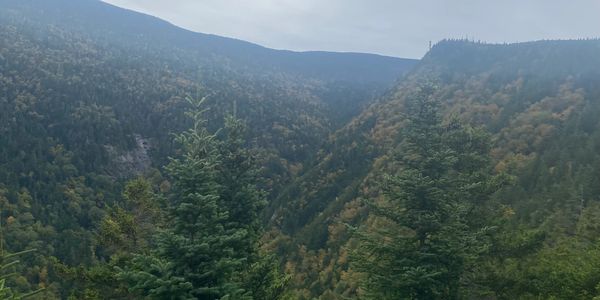 A misty mountain landscape covered in dense green forest under a cloudy sky.