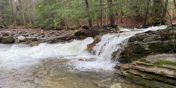 Small waterfall flowing over rocky terrain in a forest.