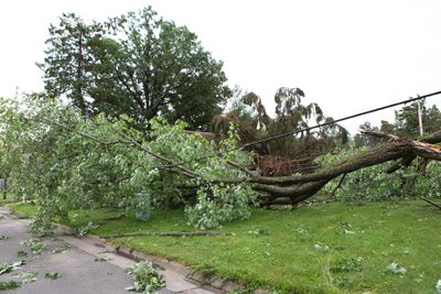 Fallen powerlines and trees after hurricane