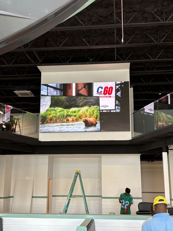 Indoor scene with a TV screen showing a bear by a river and a ladder in the background.