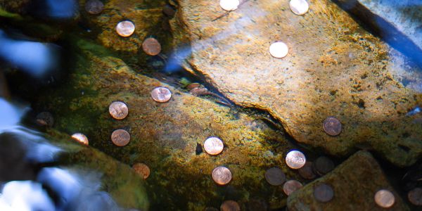 Coins scattered on a rocky surface under water.