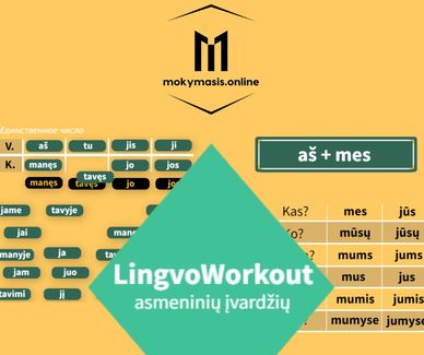 Самоучитель по литовскому языку. Склонение местоимений.