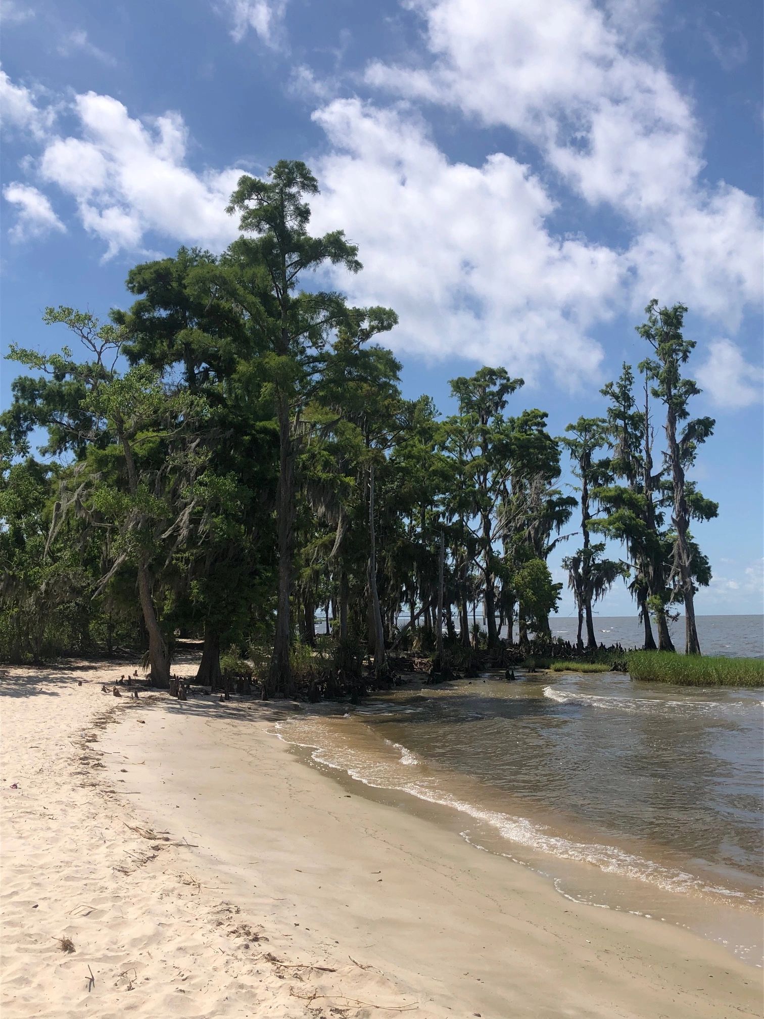 Ten Things to Do While Camping at Fontainebleau State Park