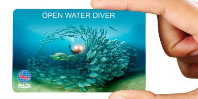 PADI Open Water Diver Certification Class