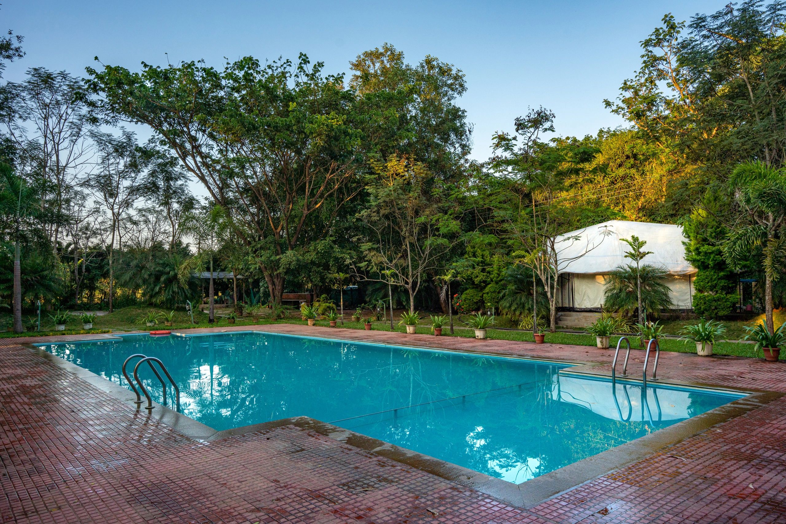 Dandeli Serene Jungle Resort - Dandeli Resorts And Hotels