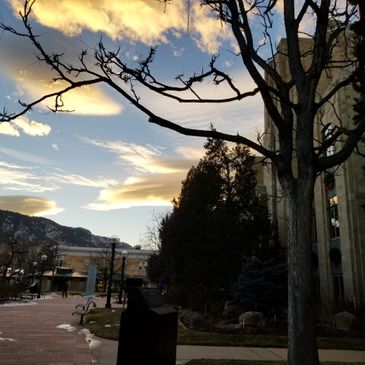 A healthy community is visible, heard, able to participate and is educated. Health & Human services 