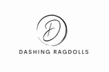 Dashing Ragdolls