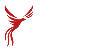 PhoenixCSI