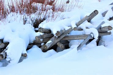 Photo of snow covered logs in Wyoming