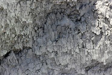 Photo of cracking paint at Yellowstone National Park