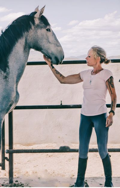 Alabastro Adonis H 2022 Andalusian Colt, 15 mos old and growing watch for him at Azure Skies Ranch