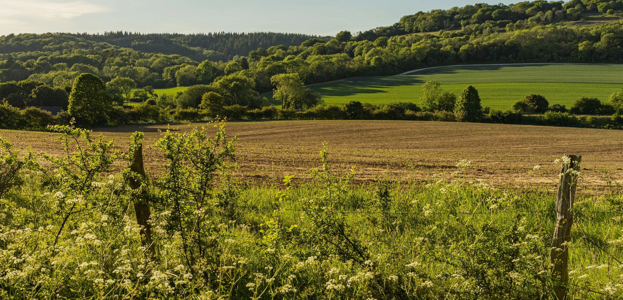 Surrey Hills Coffee