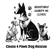 Cause 4 Paws