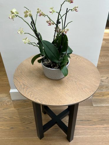 Orchid plant in a pot on a round wooden table with black legs.