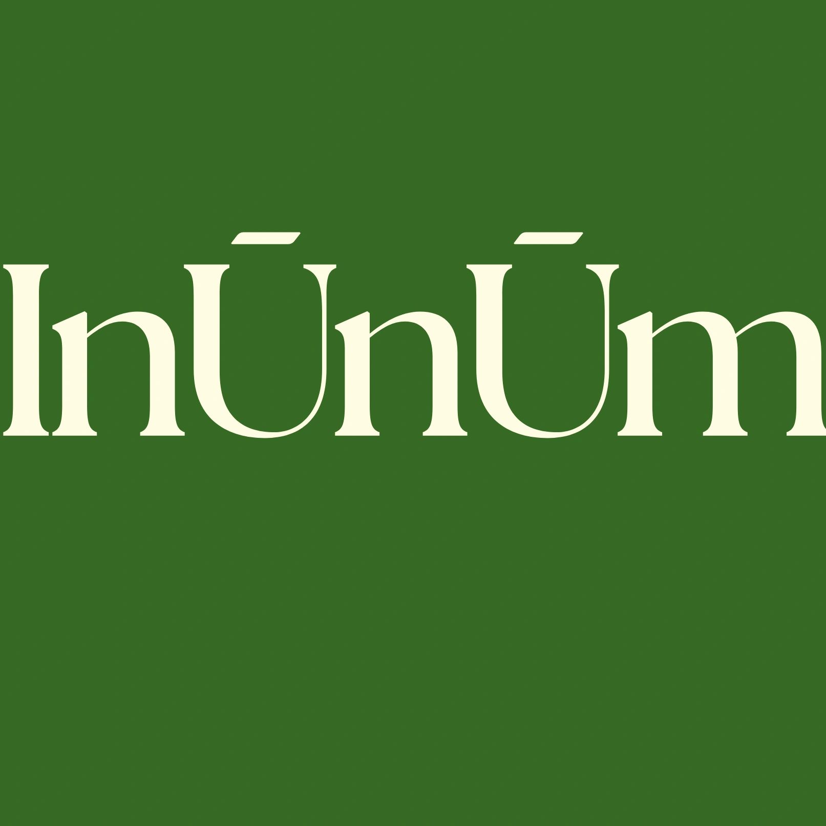 Close-up of stylized serif text with macrons on a green background.