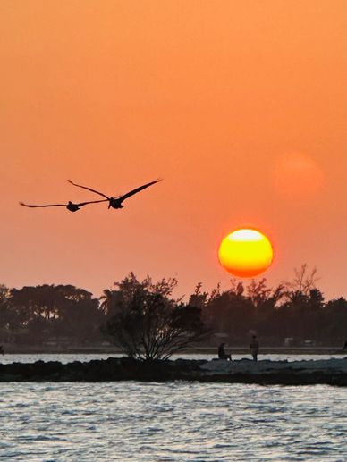 Two birds flying over water at sunset with people on the shore.