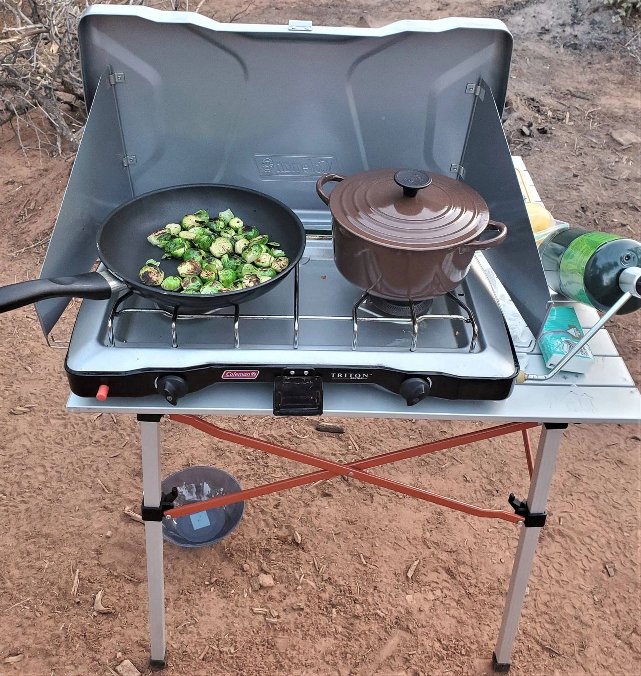 Review of GSI Outdoors Extreme Wok