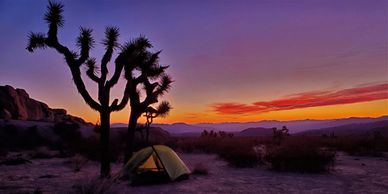 sunrise in joshua tree national park