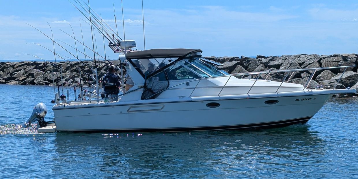 A white fishing boat with multiple fishing rods on calm waters near a rocky shore.
