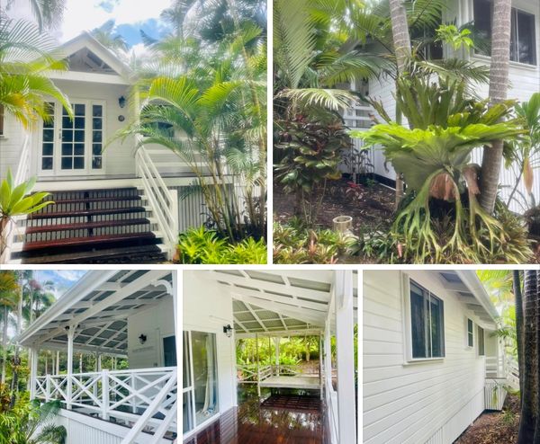 A tropical white wooden house surrounded by lush greenery and palm trees.