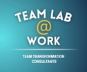 Team Lab At Work