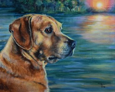 Bud-Golden Retriever