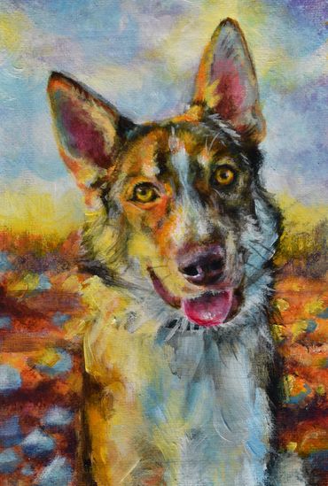 Husky dog mix in vibrant dusky colors