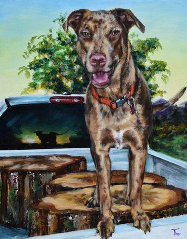 Dane mix in back of truck
