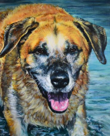 Retriever dog mix coming out of the lake