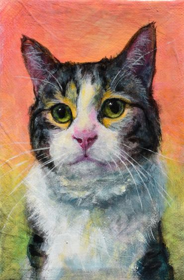 Tabby cat with vibrant colors